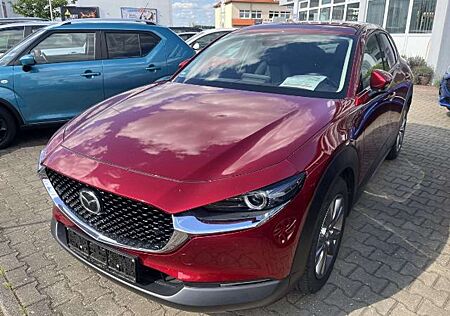 Mazda CX-30 2.0 M-Hybrid Selection - Navi - 360 Grad - 8-fach