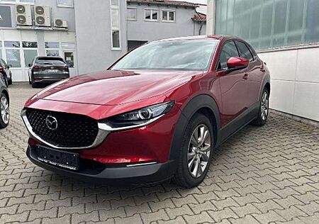 Mazda CX-30 2.0 M-Hybrid Selection - Navi - 360 Grad - 8-fach