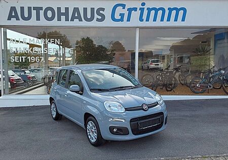 Fiat Panda 1.2 Easy "Winterpaket, PDC, Klima" uvm
