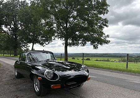 Jaguar E-Type Jaguar E-Type Serie 2 2+2 (1969) – Note 2- (Gutachten) – Schwarz/Biscuit – Automatik – Seit 1990 in einer Hand