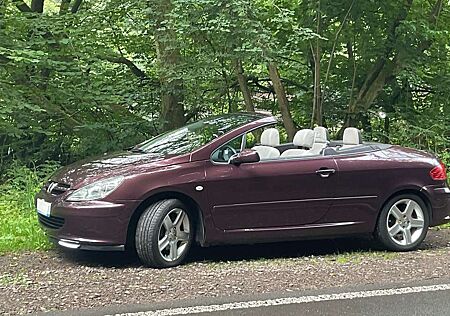 Peugeot 307 Platinum höchste Ausstattung