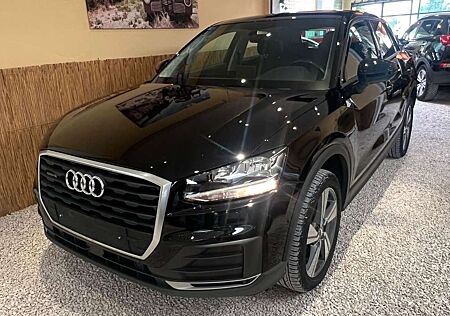 Audi Q2 quattro Panoramadach