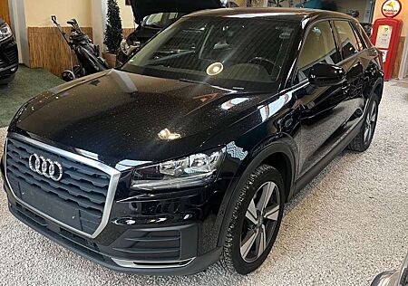 Audi Q2 quattro Panoramadach