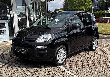 Fiat Panda 1.0 Hybrid MY'25 + City Paket *PDC hi*ZV*Bluetooth