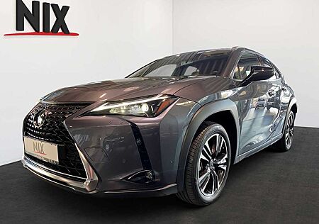 Lexus UX 250h Style Edition