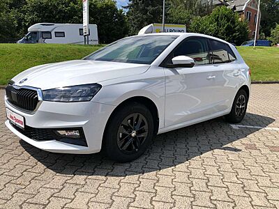 Skoda Fabia Top Selection mit Kältepaket Plus