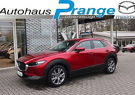 Mazda CX-30 Selection G-150 AT PRE-P AHK NAVI ACAA BOSE HUD 36