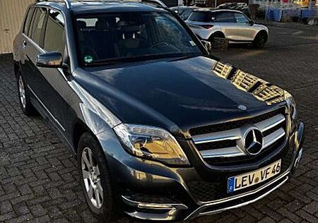 Mercedes-Benz GLK 220 CDI (BlueEFFICIENCY)