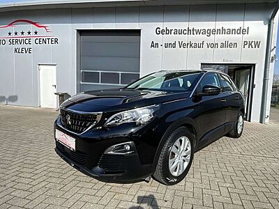 Peugeot 3008 Active Business*RFK*NAVI*SHZ*AHK*GJREIFEN