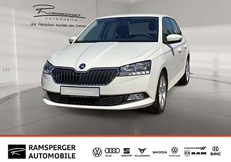 Skoda Fabia 1.0 TSI Cool Plus Klima SHZ PDC