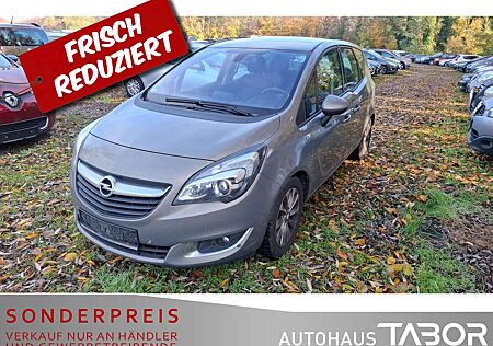 Opel Meriva B 1.4 Turbo Style PDC SHZ FlexFix Klimaau