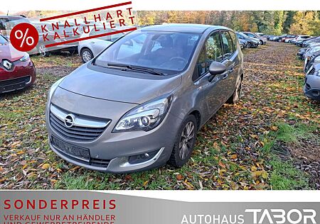 Opel Meriva B 1.4 Turbo Style PDC SHZ FlexFix Klimaau