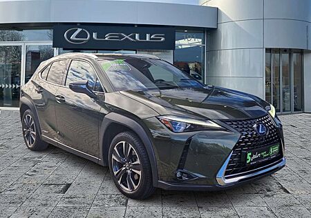 Lexus UX 250h Luxury Line ACC FLA HUD SpurH Leder LM