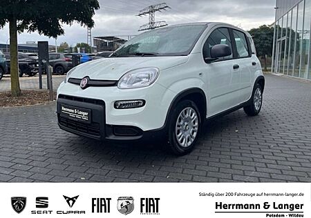 Fiat Panda Klima PDC Allwetter
