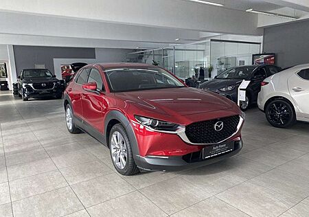 Mazda CX-30 2.0L 150PS AWD Exclusive-Line 360°,NAV,BOS