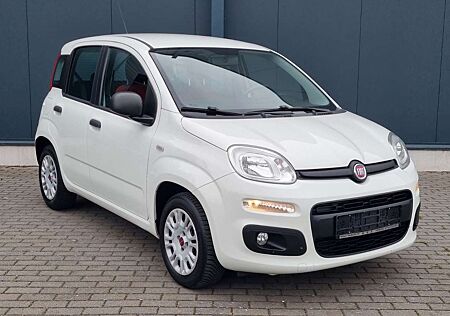 Fiat New Panda 1.2 8V*1.Hand*Klima*Zahnr. Gewechselt