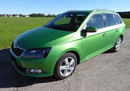 Skoda Fabia Edition,Klimaauto,SHZ,PDC hi,Tempo,DAB-Radio,AUX