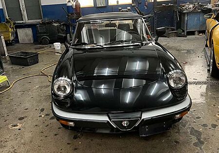 Alfa Romeo Spider Typ 115