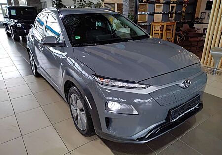 Hyundai Kona Style KRELL Navi R.Cam LED SHZ PDC DAB GJR