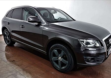 Audi Q5 3.0 TDI quattro Aut/Navi/Euro-5/Xenon/19-Zoll