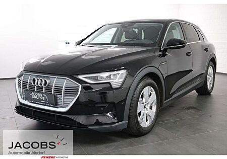 Audi e-tron 50 quattro Navi,LED,PDC,GRA