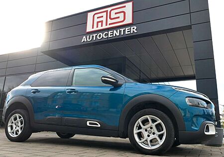 Citroën C4 Cactus Citroen Shine Pano Navi Kamera Parkassist