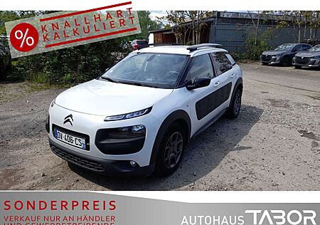 Citroën C4 Cactus Citroen Cactus BlueHDi 100 Shine Navi RFK PDC GRA LM