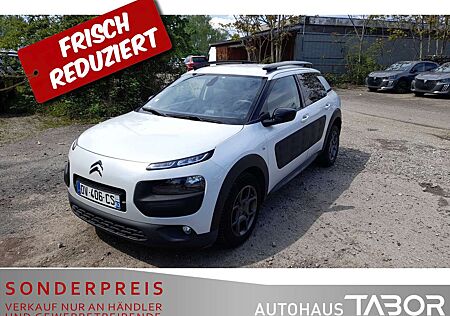 Citroën C4 Cactus Citroen Cactus BlueHDi 100 Shine Navi RFK PDC GRA LM