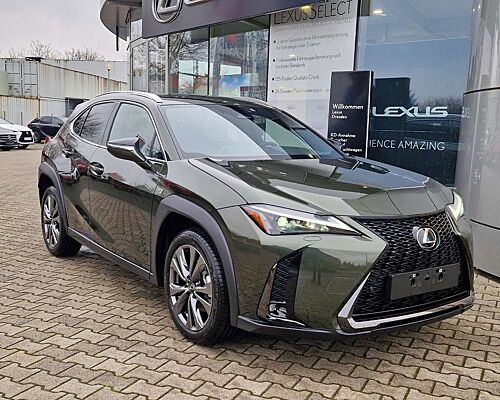 Lexus UX 300h F Sport Design Kamera, SHZ, LED, Navi