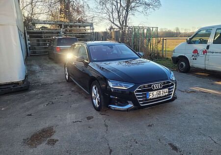 Audi A4 Avant Diesel Avant 35 TDI S tronic advanced