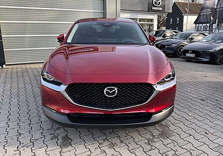 Mazda CX-30 2.5L e-SKYG 103 kW (140 PS) Automatik Exclusive Li