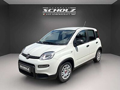 Fiat Panda MY24