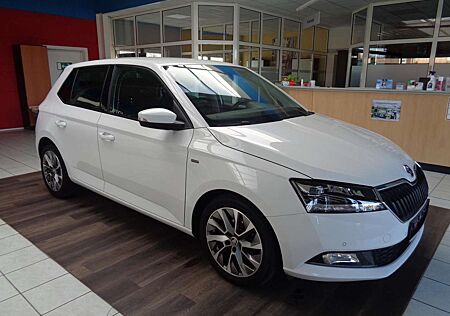 Skoda Fabia Clever Best of,Navi.LED.Klimaaut.SHZ.ACC