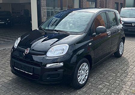 Fiat Panda 1.0 GSE Hybrid, Tageszulassung