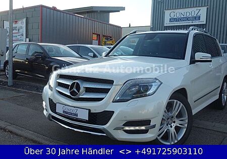 Mercedes-Benz GLK 220 CDI 7G-TRONIC BlueEff 4Matic*LEDER*XENON