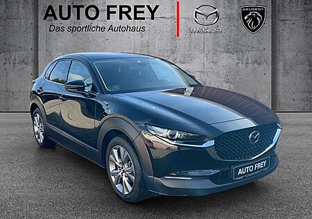 Mazda CX-30 150 Automatik Selection Design+Active-Paket Bose+A