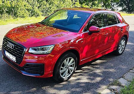 Audi Q2 gebraucht kaufen Audi Q2 40 TFSI quattro S tronic