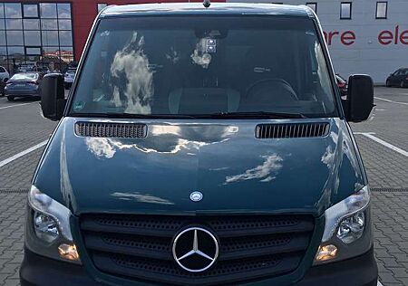 Mercedes-Benz Sprinter 313+CDI+(BlueTec)++906.735