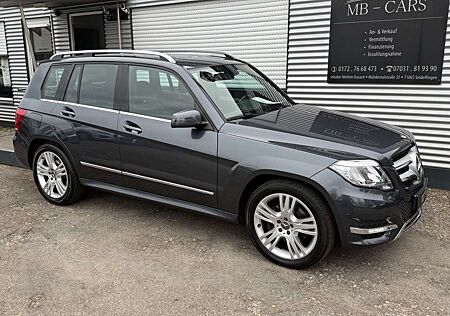 Mercedes-Benz GLK 220 CDI BlueEfficiency*NAVI*BI-XEN*AHK