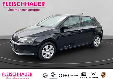 Skoda Fabia 1.2 TSI klima DAB SHZ Temp Tel.-Vorb. PDC