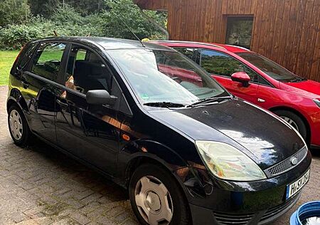 Ford Fiesta 1.3 Viva X