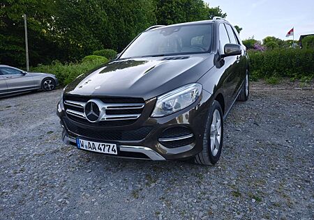 Mercedes-Benz GLE 350 d 4Matic (166.024)