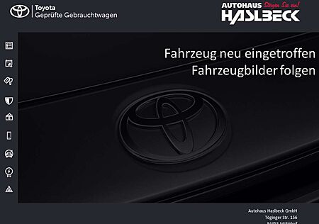 Lexus NX 450h+ E-FOUR Executive-Paket