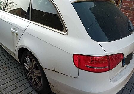Audi A4 +Avant+2.0+TDI+DPF+Ambition