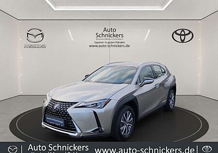 Lexus UX 300e +KAMERA+ACC+GJ-RÄDER !!