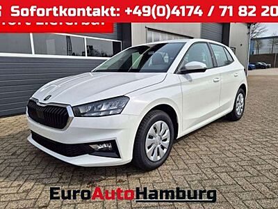 Skoda Fabia 1.0 TSI 95PS Selection 5-türig Rückf.Kamera Parkse