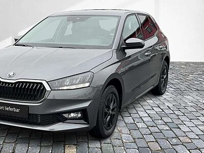 Skoda Fabia IV 1,0 TSI DSG 130 Jahre LED Link NBA PDC RFK SHA