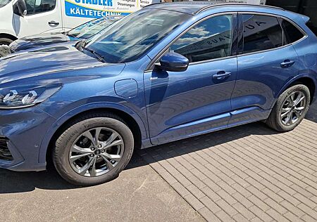 Ford Kuga Plug-In Hybrid ST-Line X