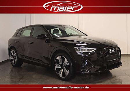 Audi e-tron 55 quattro S line-Luft-Navi-360°-LED-DAB-