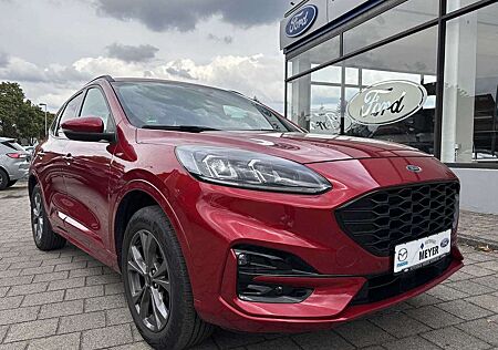Ford Kuga 2.0 EcoBlue 4x4 Aut. ST-Line Navi/AHK